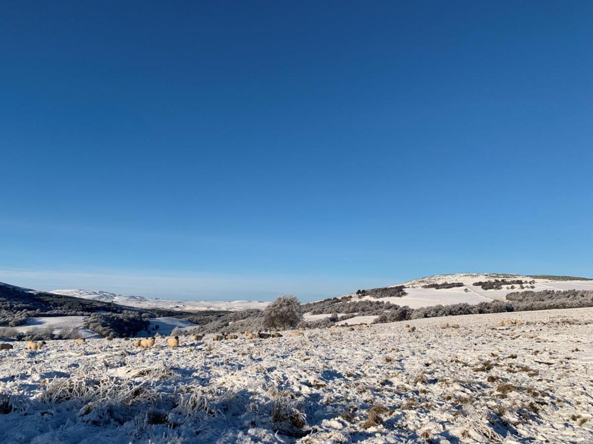 West Gorton Villa Grantown-on-Spey Bagian luar foto